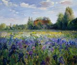 Evening at the Iris Field by Timothy Easton