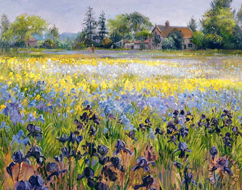 Timothy Easton Irises and Two Fir Trees Art Painting