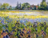 Irises and Two Fir Trees by Timothy Easton