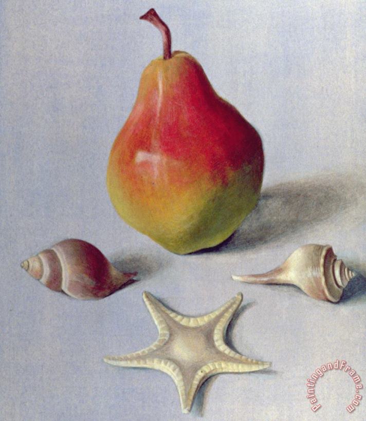 Pear And Shells painting - Tomar Levine Pear And Shells Art Print