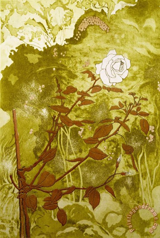 Rose painting - Valerie Daniel Rose Art Print