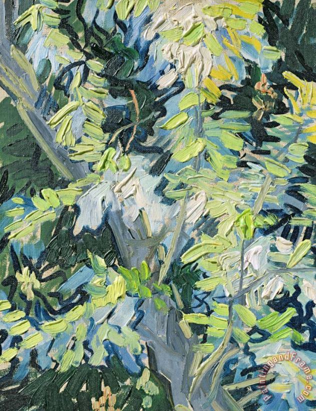 Acacia In Flower painting - Vincent van Gogh Acacia In Flower Art Print