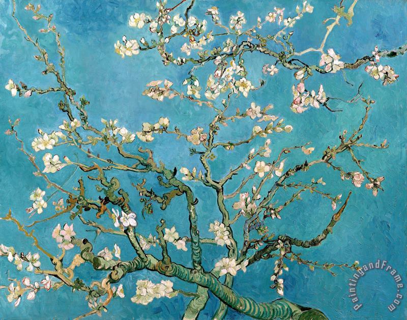 Almond Branches In Bloom painting - Vincent van Gogh Almond Branches In Bloom Art Print