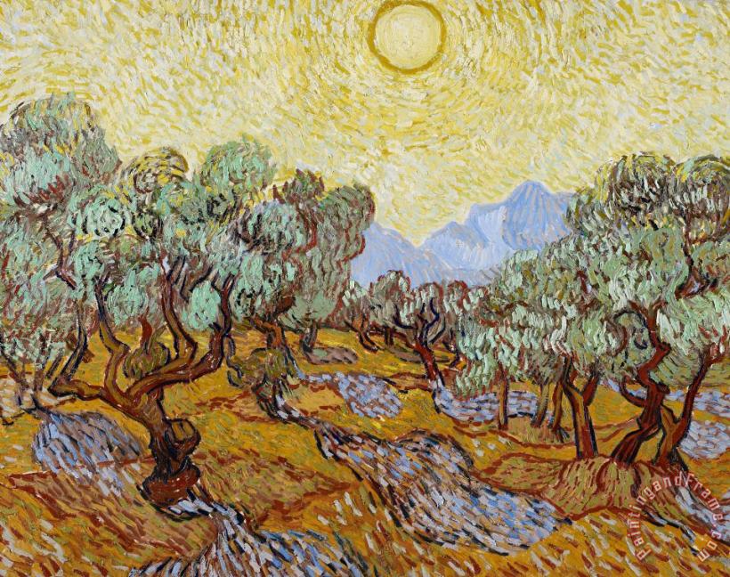 Vincent van Gogh Olive Trees Art Painting