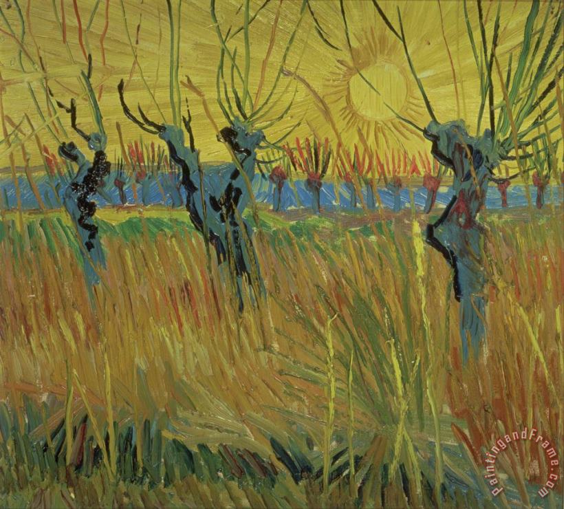 Pollarded Willows and Setting Sun painting - Vincent Van Gogh Pollarded Willows and Setting Sun Art Print