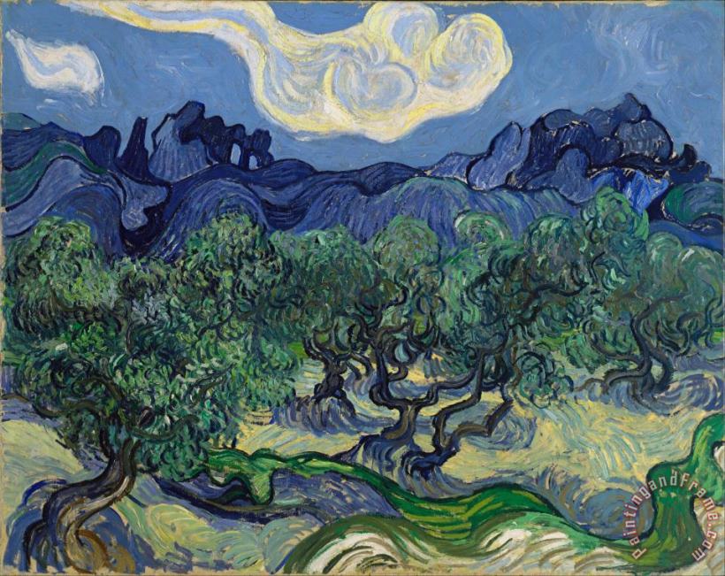 The Olive Trees painting - Vincent van Gogh The Olive Trees Art Print
