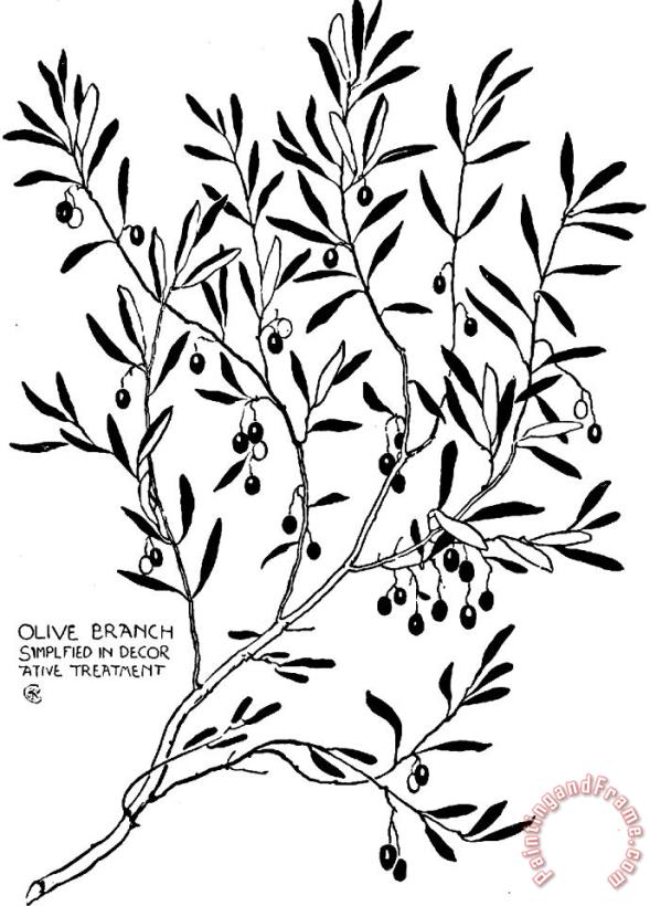 Olive Branch Simplified In Decor painting - Walter Crane Olive Branch Simplified In Decor Art Print