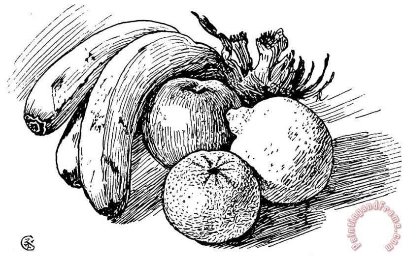 Walter Crane Pen Drawing Of Fruit Art Print