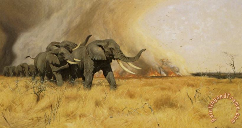 Wilhelm Kuhnert Elephants Moving Before a Veldt Fire Art Print