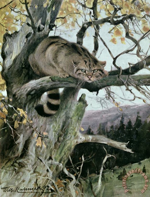 Wilhelm Kuhnert Wildcat In A Tree Art Painting