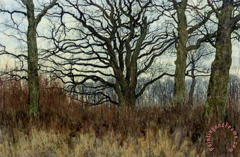 Woodland Scene at Twilight painting - William Fraser Garden Woodland Scene at Twilight Art Print