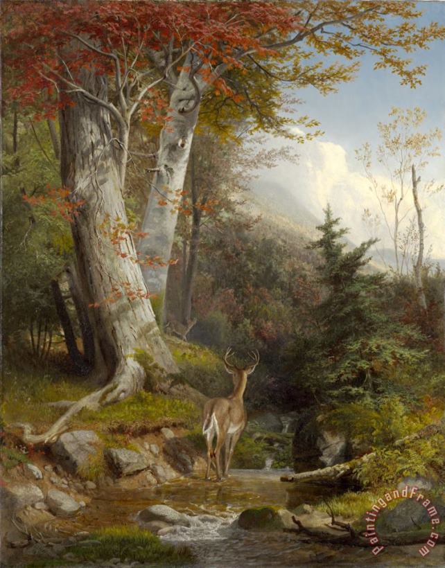 Mountain Stream And Deer, 1865 painting - William Holbrook Beard Mountain Stream And Deer, 1865 Art Print