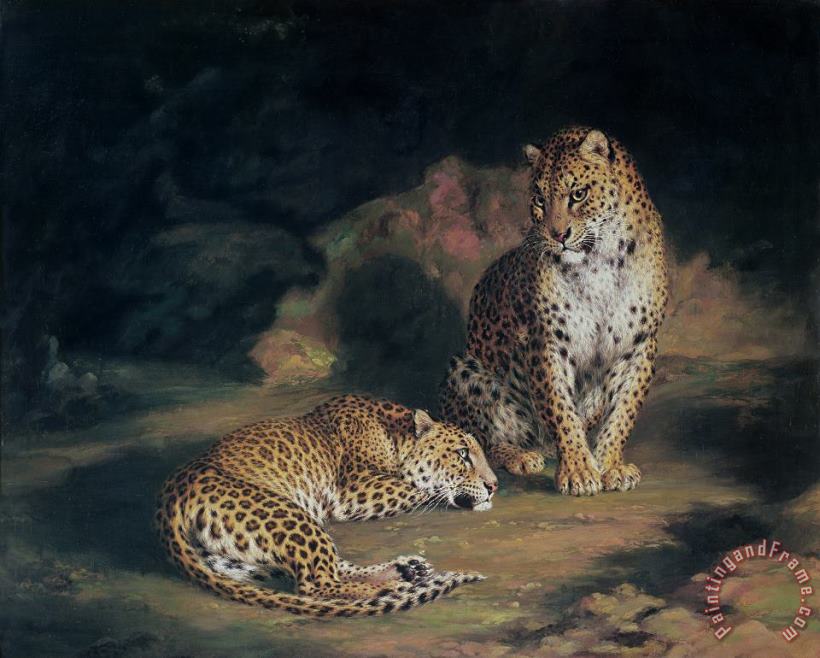 A Pair of Leopards painting - William Huggins A Pair of Leopards Art Print