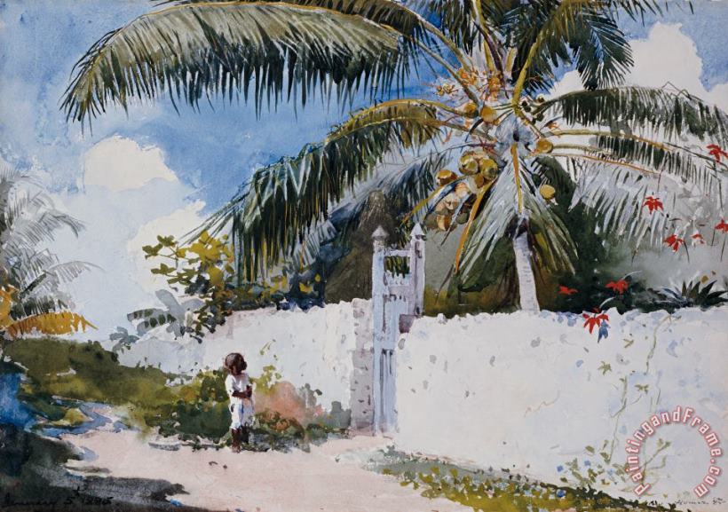 Winslow Homer A Garden in Nassau Art Print