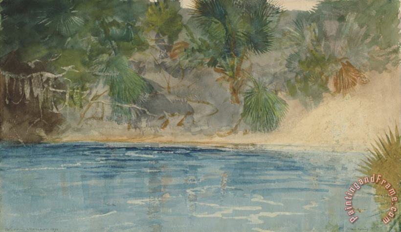Winslow Homer Blue Spring, Florida Art Painting