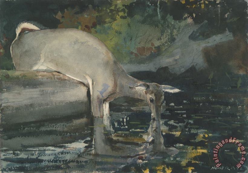 Winslow Homer Deer Drinking Art Painting