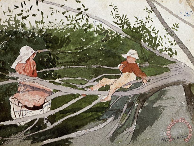 Winslow Homer Out on a Limb Art Painting