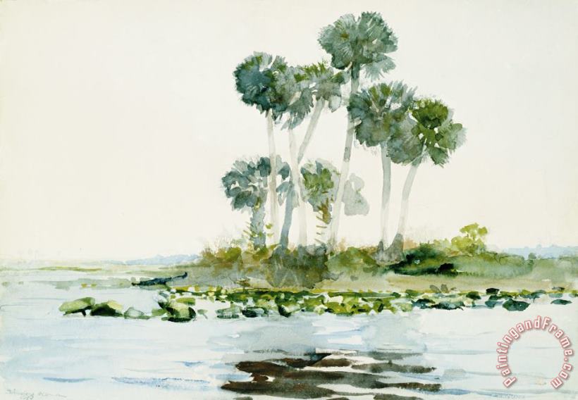 St. Johns River, Florida painting - Winslow Homer St. Johns River, Florida Art Print