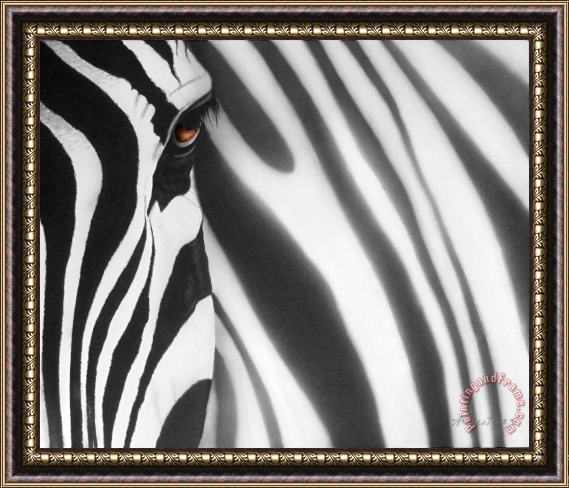 Agris Rautins Zebra Framed Painting