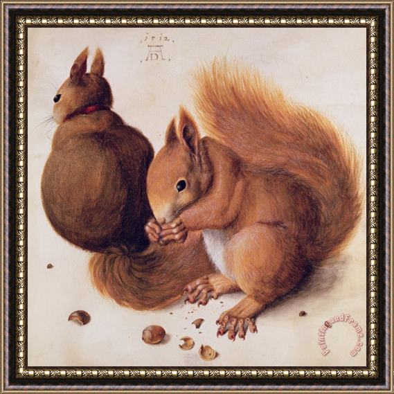 Albrecht Duerer Squirrels Framed Painting