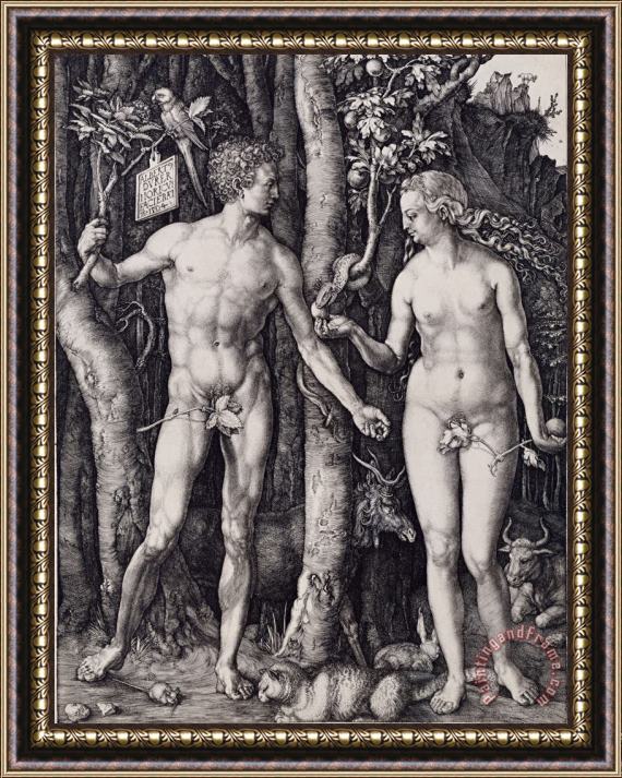 Albrecht Durer Adam And Eve Engraving Framed Painting