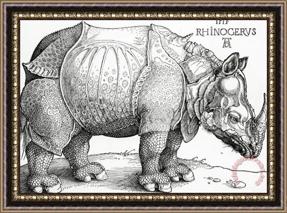 Albrecht Durer The Rhinoceros Framed Print