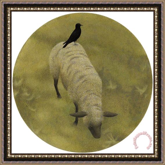 Alex Colville Crow And Sheep Framed Print
