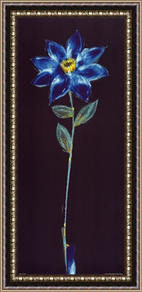 alfred gockel Midnight Blue Daisy Panel Framed Print