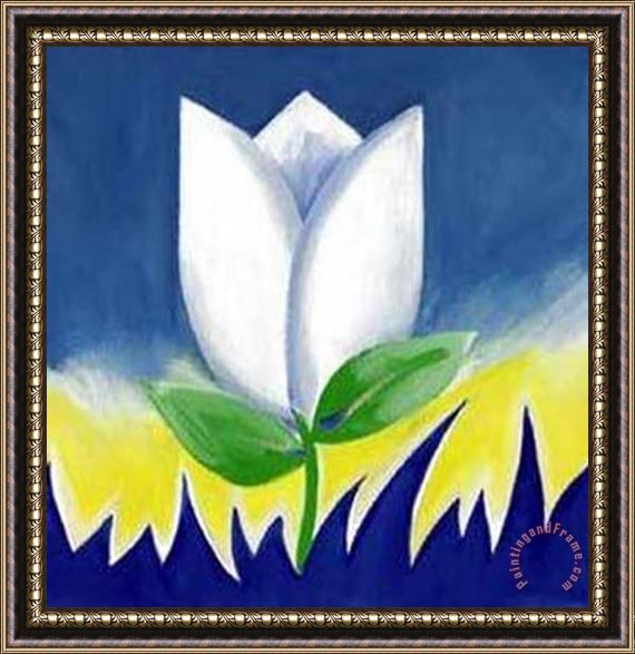 alfred gockel White Tulip Supreme Framed Painting