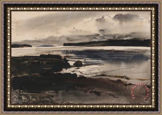 andrew wyeth Sea Birds Framed Painting