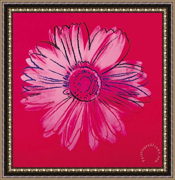 Andy Warhol Daisy C 1982 Crimson And Pink Framed Print
