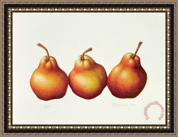 Annabel Barrett Pears Framed Print