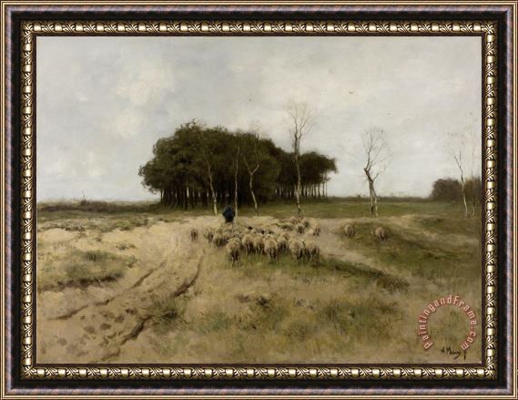 Anton Mauve On The Heath Near Laren Framed Painting