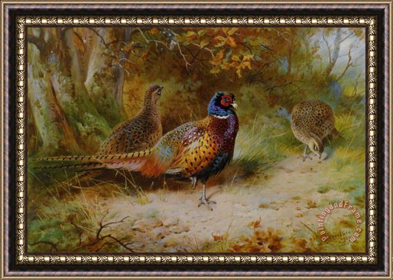 Archibald Thorburn Autumn Covert Framed Painting