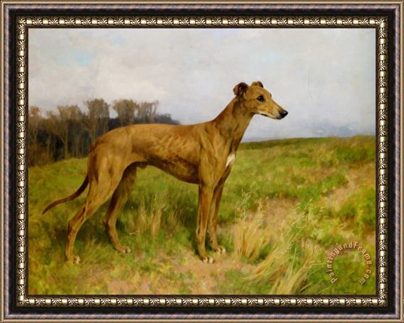 Arthur Wardle Champion Greyhound Dee Flint Framed Print