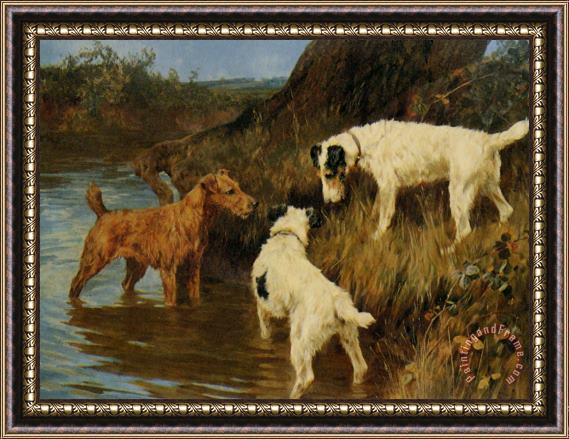 Arthur Wardle Three Terriers on The Scent Framed Print