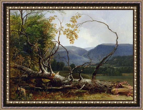 Asher Brown Durand Study from Nature - Stratton Notch Framed Painting