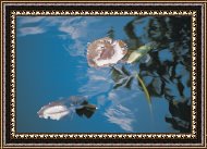 Framed Print Framed Print