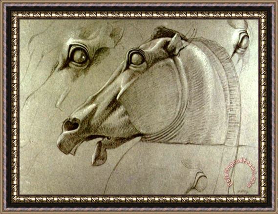 Benjamin Haydon Horse Head Sketch Framed Painting