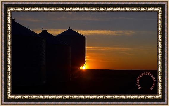 Blair Wainman Harvest Sunrise Framed Painting