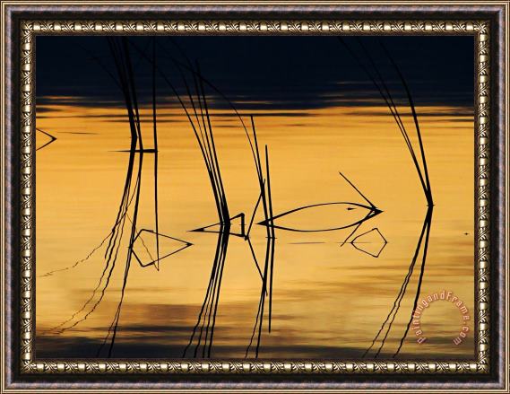 Blair Wainman Momentary Reflection Framed Painting