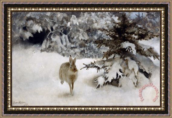 Bruno Andreas Liljefors A Hare In The Snow Framed Print