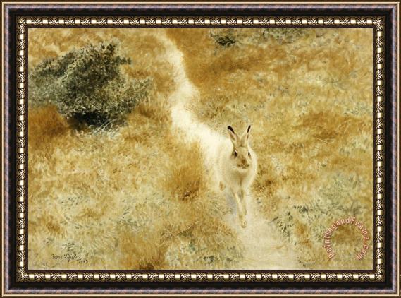 Bruno Liljefors A Winter Hare in a Landscape Framed Print