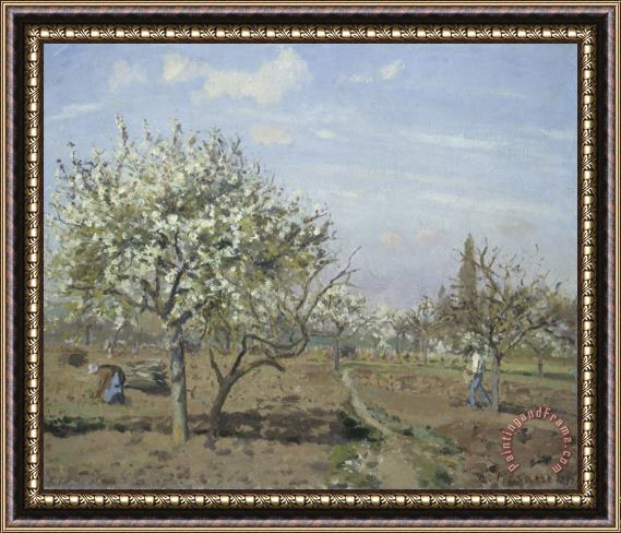 Camille Pissarro Orchard in Bloom, Louveciennes Framed Print