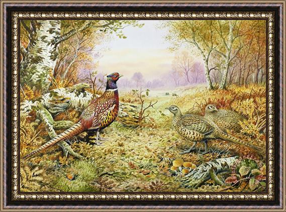 Carl Donner Pheasants in Woodland Framed Print