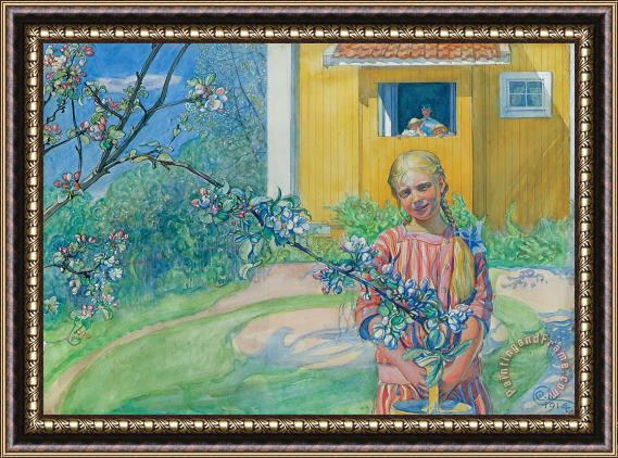Carl Larsson Girl With Apple Blossom Framed Painting