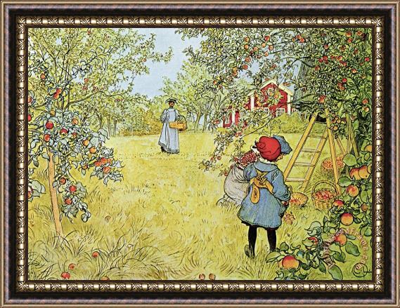 Carl Larsson The Apple Harvest Framed Painting