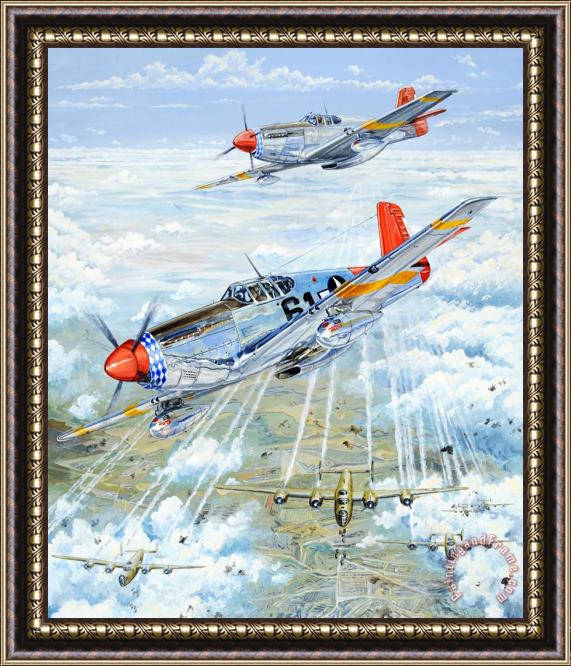 Charles Taylor Red Tail 61 Framed Painting