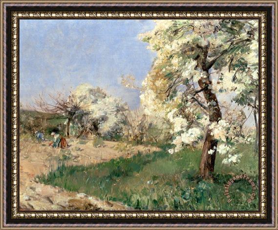 Childe Hassam Pear Blossoms Framed Painting