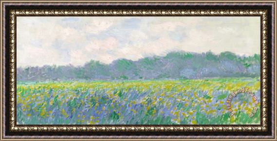 Claude Monet Field of Yellow Irises at Giverny Framed Painting